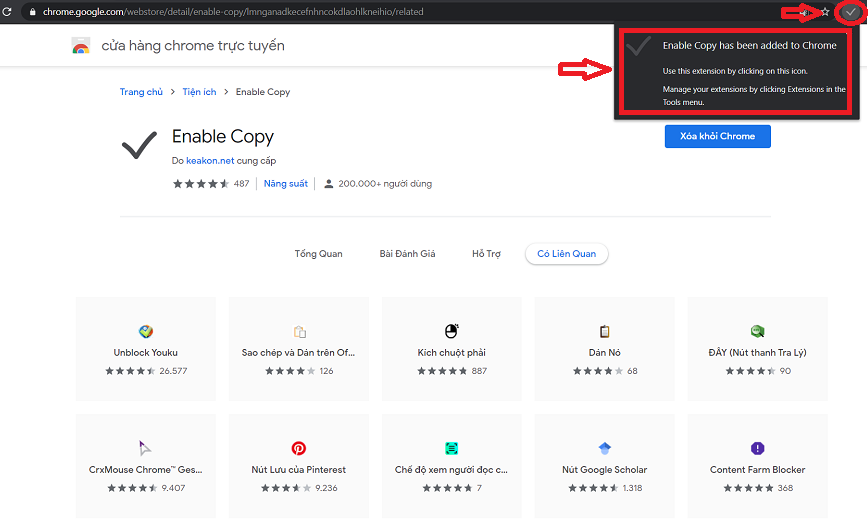Cài đặt Enable Copy thành công trên Chrome