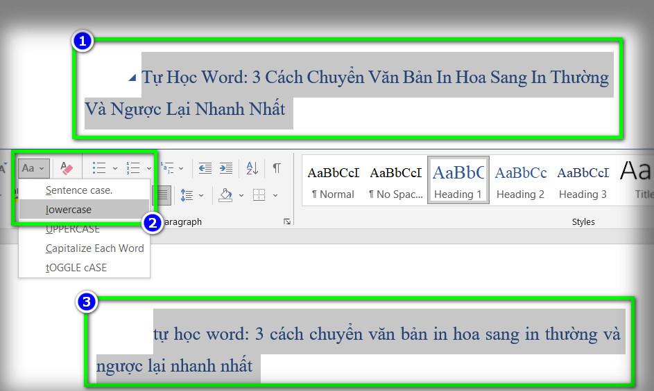 chuyển đổi chữ thường