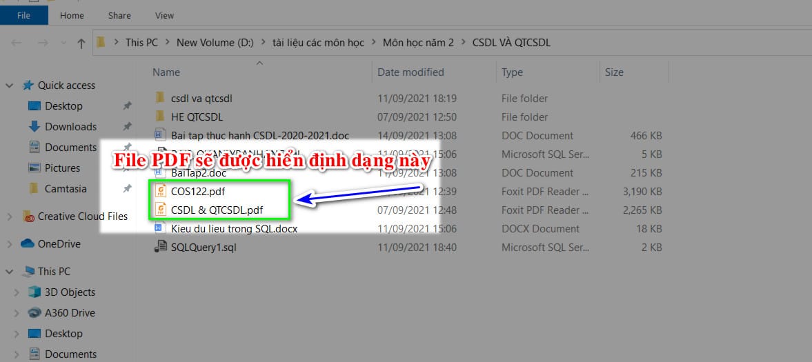 cách 2 truy cập file PDF